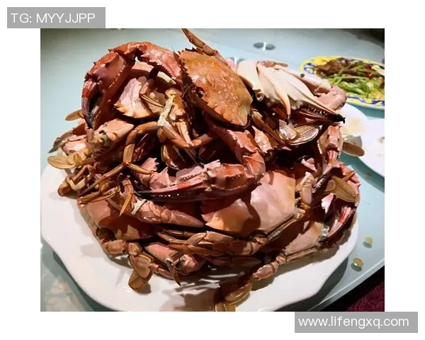 体彩篮球304场次太阳队对阵篮网队精彩对决分析与预测