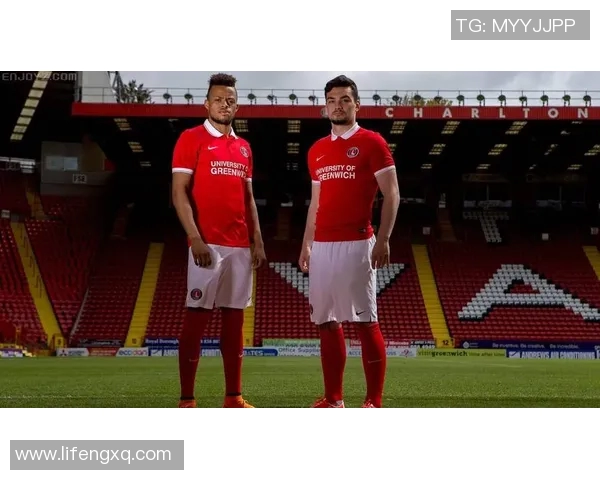 布莱顿与西布罗姆对决前瞻分析及比赛结果预测