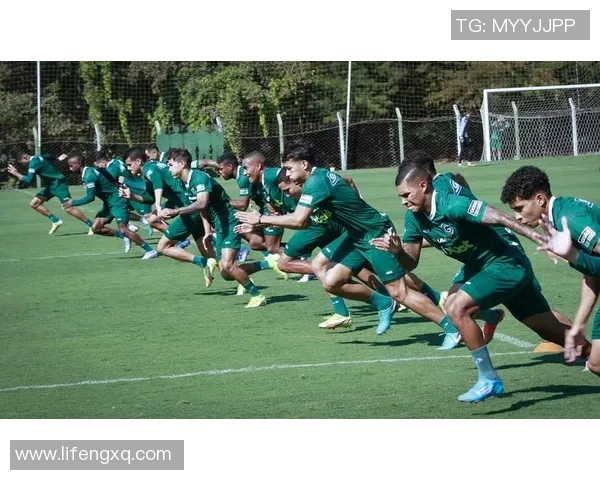 戈亚斯对阵巴西国际精彩直播全程回顾与赛后分析 戈亚斯对阵巴西国际精彩直播全程回顾与赛后分析