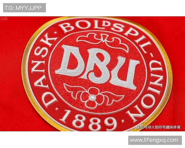 法国与丹麦对决盘口解析及投注建议分析