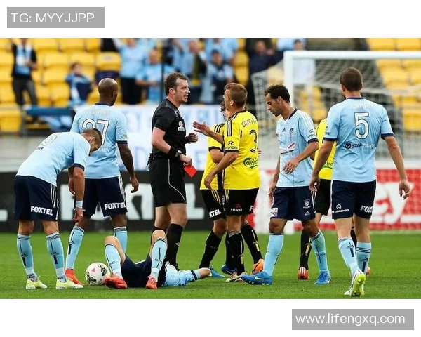 西悉尼漫队与惠灵顿凤凰队激战在即谁将赢得这场精彩对决