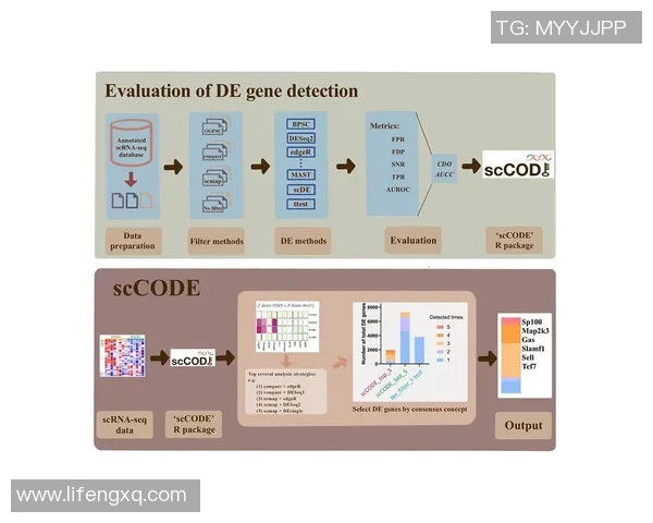 上海足球队团队协作表现的数据分析与提升策略探讨