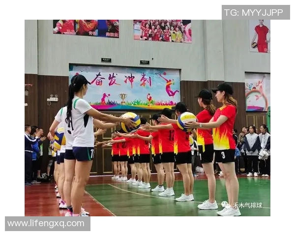 南京排球队心理素质探究与提升策略的全面分析与研究