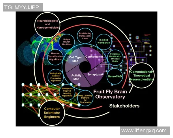 探索弗格的世界：从历史到现代的多维视角与深度解析
