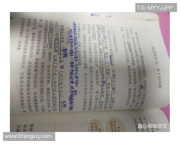 杭州乒乓球队的奋斗与荣耀：一段不平凡的突破历程纪实