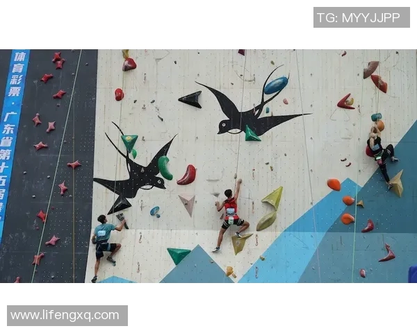 广州攀岩队与深圳攀岩队个人能力对比分析赛后复盘