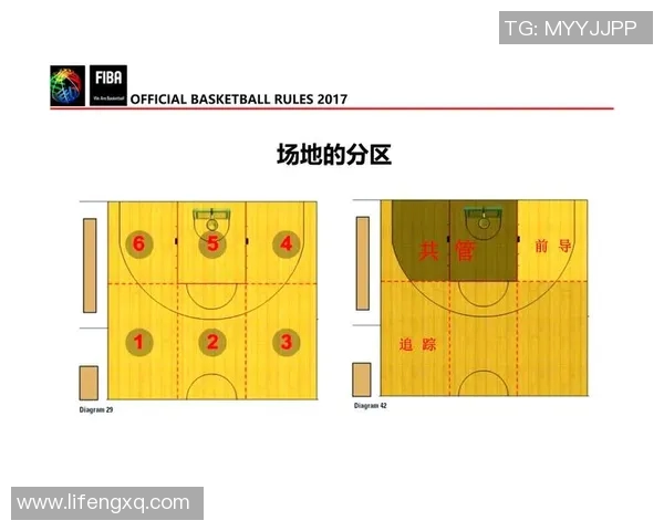 篮球新手必看：快速掌握技巧与战术的全面入门指南